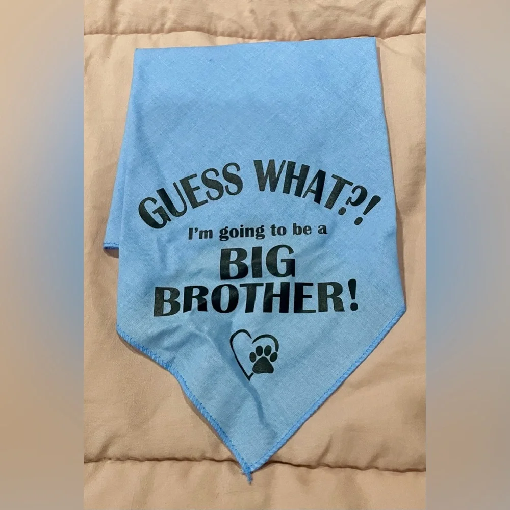 Set of big brother bandanas for pet dog